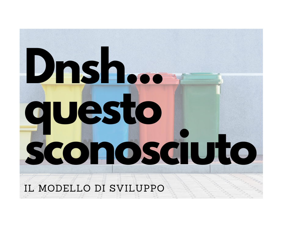 Il DNSH… questo sconosciuto